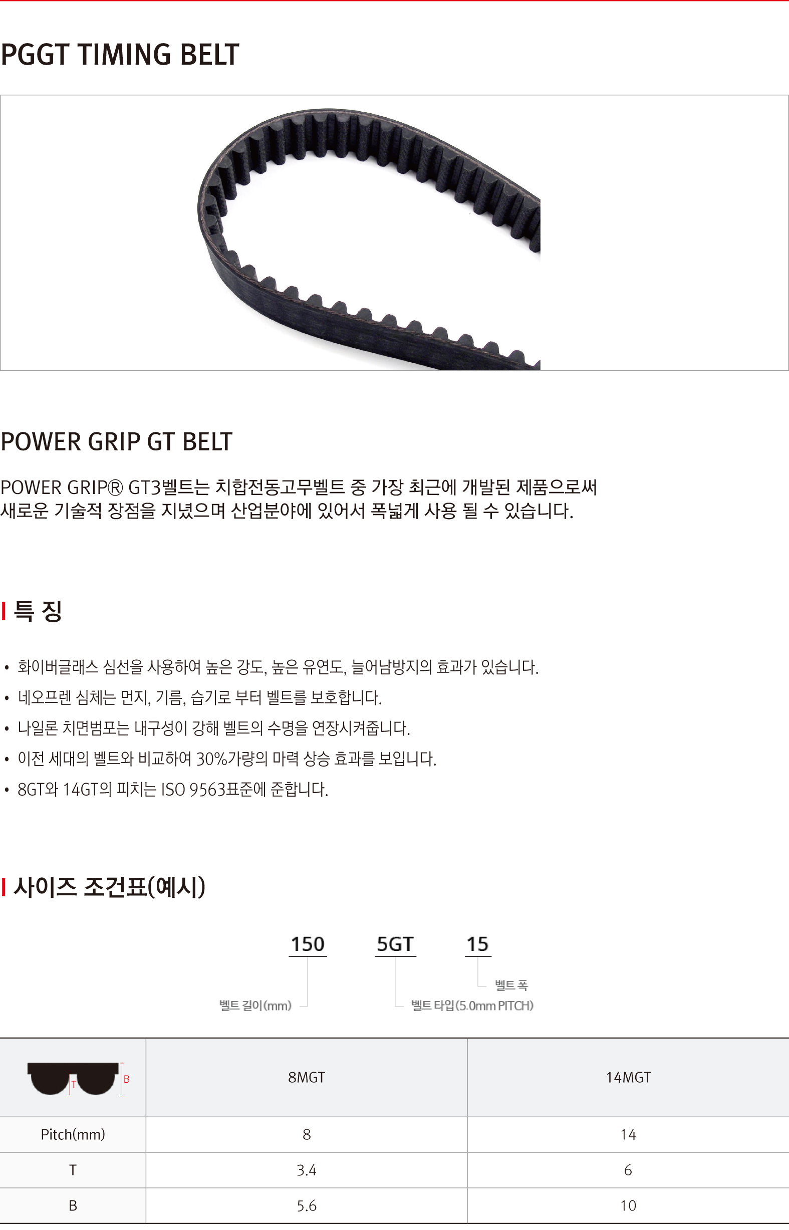 TIMING BELT-6.jpg