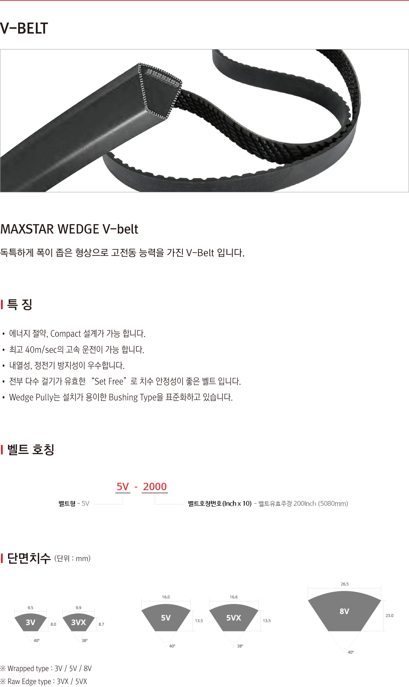 V-BELT-2.jpg